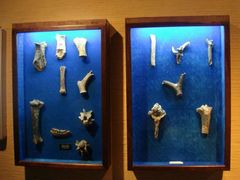 -中国闽台缘博物馆