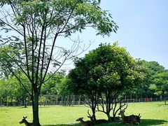 -良渚古城遗址公园