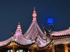 -绿波廊(豫园店)