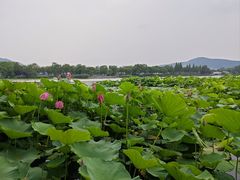 -云龙湖旅游景区