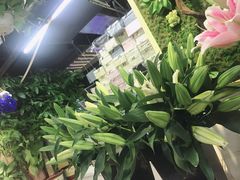 -怡花宜木鲜花店(朝阳路店)