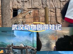 -武汉动物园