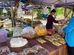 -西双版纳傣族园