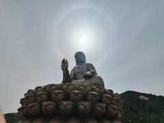 -龙口南山旅游景区