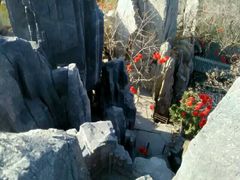 android_upload_pic-中国翰园碑林