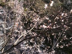 -罗田天堂寨风景区