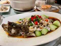 味淋鲜花椒龙趸-维园悦谱·海派家常菜(乌鲁木齐南路店)
