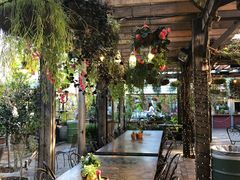 -The Grounds of Alexandria