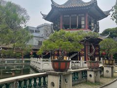 -碧江金楼