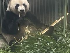 -黔灵山公园