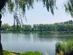 -亲兄弟真人CS团建拓展基地