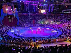 -俄罗斯国家大马戏团