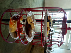 android_upload_pic-苏州洲际酒店·大堂酒廊