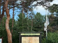 -帽儿山国家森林公园