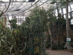 -北京植物园-展览温室