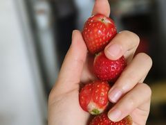 -Dr.t茶博士(广技师店)