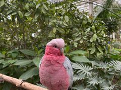 -南宫五洲植物乐园