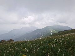 -白草畔自然风景区