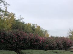 -白塘生态植物园