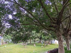 -风云岭森林公园