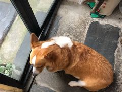 -About Bistro關於·泰式家庭料理