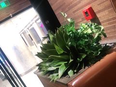 -新石器烤肉(中房金谊广场店)
