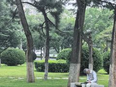-林海公园