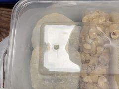 -五芳斋(中山大道总店)