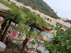 -三亚亚龙湾凯莱仙人掌度假酒店