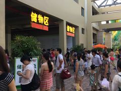 -苏州乐园森林水世界