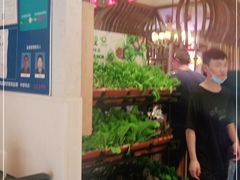 大堂-清真·噃茄树黄柿子火锅