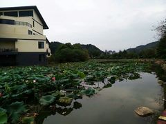 -明月山天沐温泉度假村