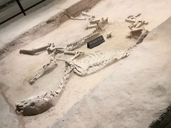 -洛阳周王城天子驾六博物馆