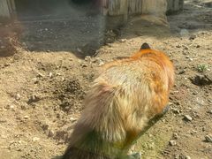 -无锡动物园·太湖欢乐园