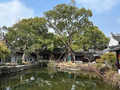 -上海醉白池公园