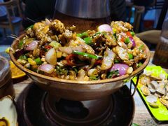 蛙麻蛙辣炭火蛙锅-蛙麻蛙辣炭火蛙锅(南环大街店)