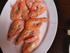 -绿光森林餐厅