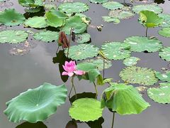 -碧江民乐公园