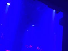 -PAPAYA CLUB 酒吧(深圳旗舰店)