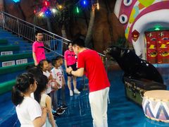 -烟台海昌鲸鲨海洋公园