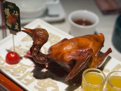-大鸽饭(动物园店)