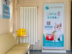 -喜多萌中农锦绣动物医院24H·猫科·牙科MRI·CT