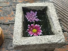 -新竹里馆·花园餐厅(兴苑路店)