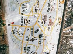 -杭州动物园