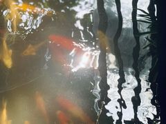 -谷咖啡·鲜花绿植花园餐厅