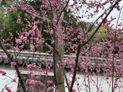 -汇龙潭