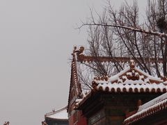-故宫博物院(故宫)