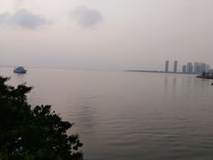 -万绿园