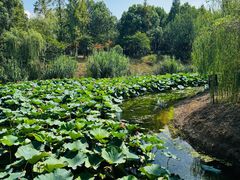 -张家港凤凰山景区河阳山歌馆