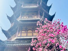 -红梅公园